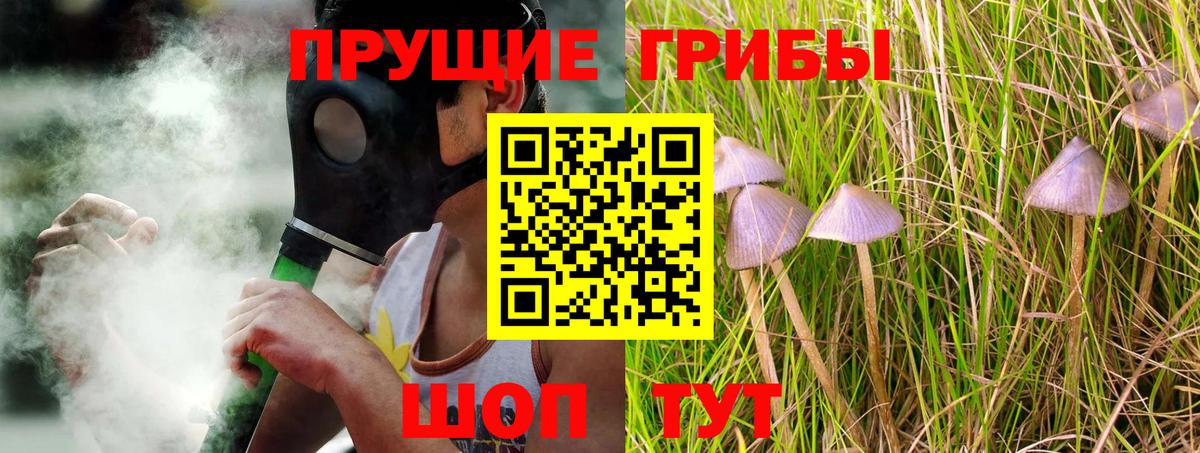 наркота  Вход с VPN  Кунгур  Галлюциногенные грибы Psilocybe 